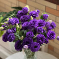 💐Sementes de Lisianthus