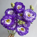 💐Sementes de Lisianthus