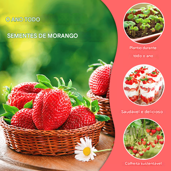 🔥🍓 Morango Cremosas